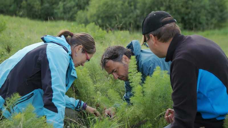 Mapování vegetace v Transylvánii. Mapování vegetace v Transylvánii.