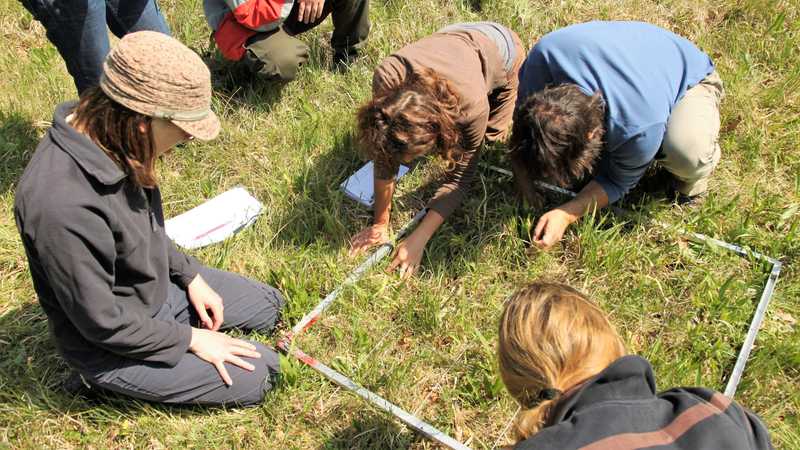 Mapování vegetace v okolí sběrů recentních pylů v Bílých Karpatech (2012). Mapování vegetace v okolí sběrů recentních pylů v Bílých Karpatech (2012).