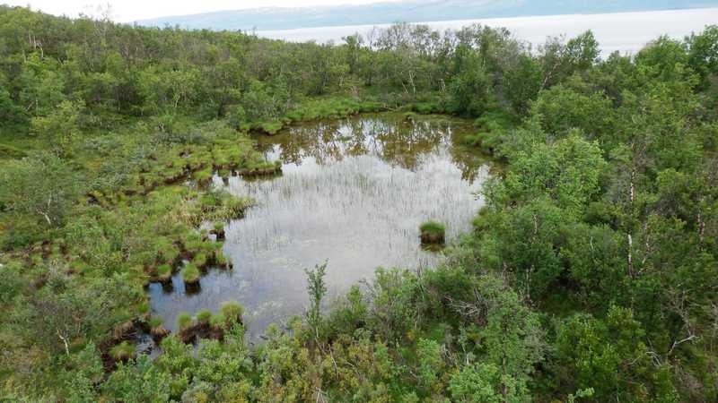 Palsa (rašeliniště s ledovým jádrem) s jezírkem na lokalitě Nuolja v Národním parku Abisko ve Švédsku (2014). Palsa (rašeliniště s ledovým jádrem) s jezírkem na lokalitě Nuolja v Národním parku Abisko ve Švédsku (2014).