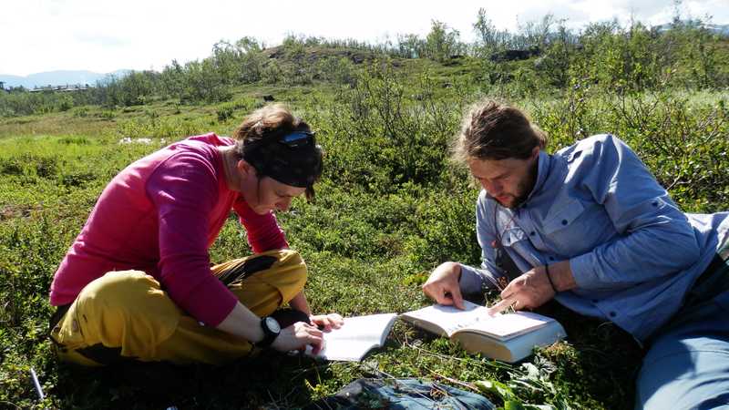 Mapování vegetace v okolí pylových pastí v Národním parku Abisko ve Švédsku (2014). Mapování vegetace v okolí pylových pastí v Národním parku Abisko ve Švédsku (2014).