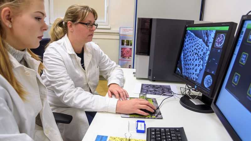 Práce u elektronového mikroskopu Phenom ProX. Práce u elektronového mikroskopu Phenom ProX.