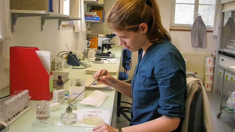 Příprava trvalých preparátů v paleoekologické laboratoři Univerzity v Bernu, Švýcarsko (2010). Příprava trvalých preparátů v paleoekologické laboratoři Univerzity v Bernu, Švýcarsko (2010).